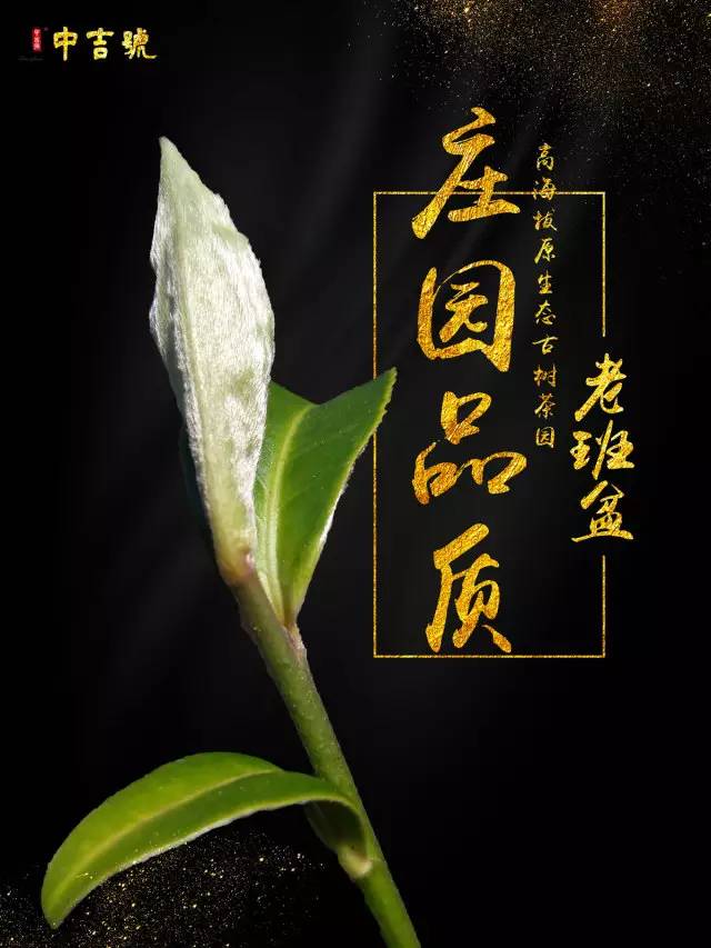 普洱茶市场价格