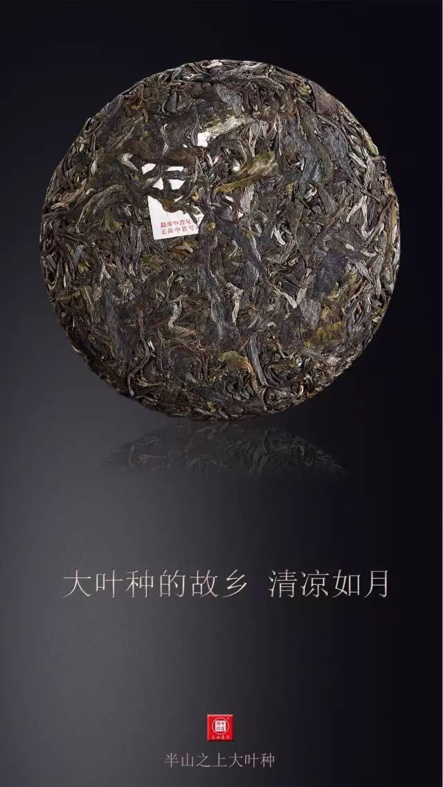 中吉号古树茶