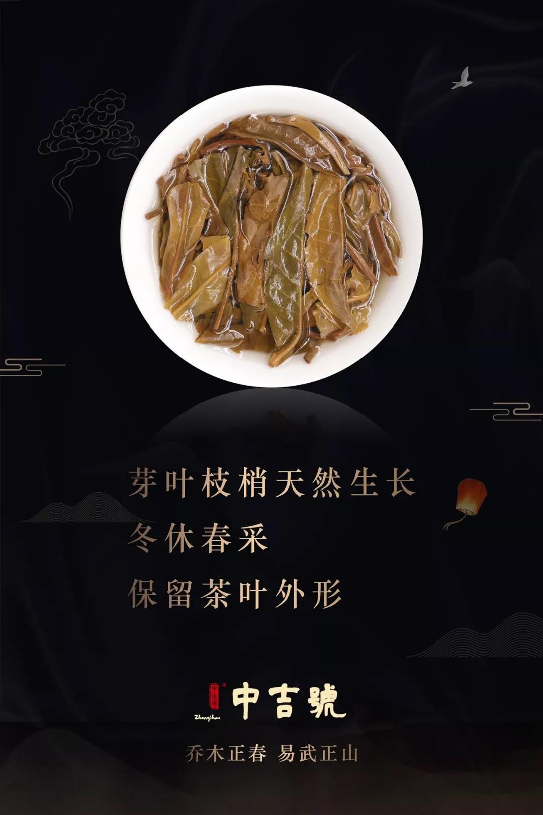 易武正山普洱茶