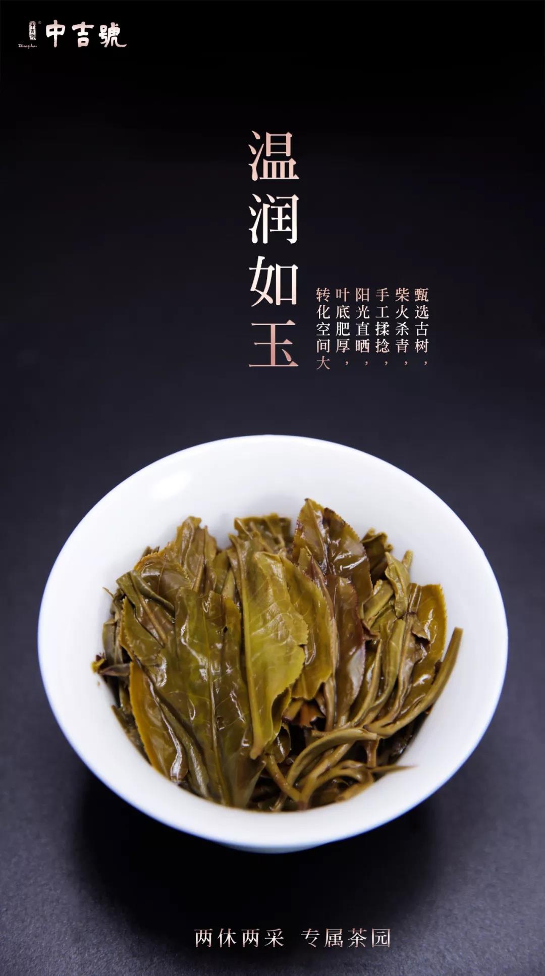 普洱茶价格表